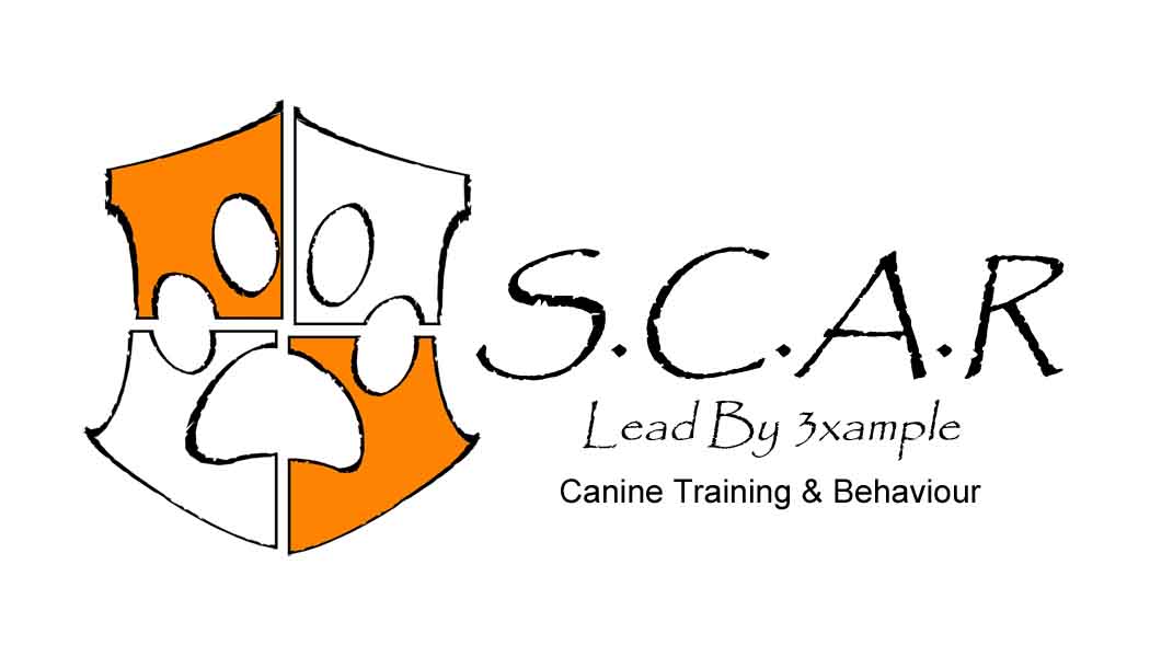 Scar Canine School